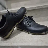 کفش نو