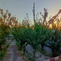 باغ ویلا ۶۸۰ متر مربع شهریار ، شهرک انجم اباد|فروش خانه و ویلا|رباط‌کریم, انجم آباد|دیوار