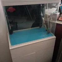 آکواریوم شرکتی آکوا
