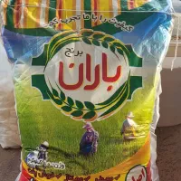 برنج عنبربو