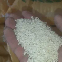 برنج‌نیم دانه عنبرودانه بلندعنبرتمیزاواصل|خوردنی و آشامیدنی|شادگان, |دیوار