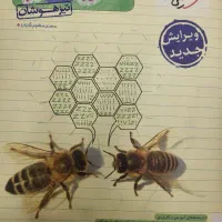 کتاب کار ریاضی علوم گاج نهم کتاب تست علوم خیلی سبز