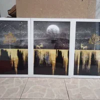 تابلو 3تیکه|تابلو، نقاشی، عکس|شاهرود, |دیوار