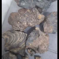 شهاب سنگ|کلکسیون اشیاء عتیقه|باغ بهادران, |دیوار