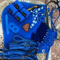 لوازم سوارکاری نو و استوک(در حد نو )