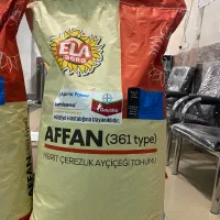 بذر آفتابگردان