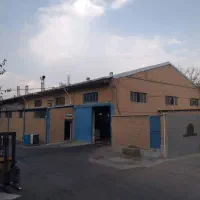 نگهبان شبگرد