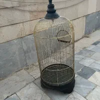 دو قفس پرنده ، بدنه با کیفیت