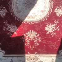 فرش ۶ متری|فرش|ملایر, |دیوار