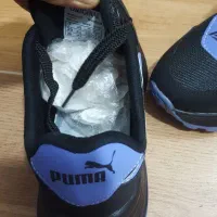 کتونی کلاسیک پوما کارشیکوخاص(لیبل دار کف دوخت)|کیف، کفش، کمربند|شیراز, هفت تنان|دیوار