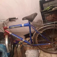 دوچرخه تایوان اصل المپیک