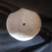 مهرعتیقه وکهنه،|کلکسیون اشیاء عتیقه|باوی, |دیوار