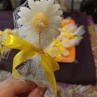 سلام. گل بابونه شمعی زیبا