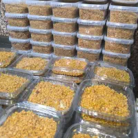 سیر داغ ، سیر داغ با سیب سلامت، سیر داغ عمده|خوردنی و آشامیدنی|تهران, جنت‌آباد جنوبی|دیوار