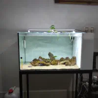 آکواریوم ریملکس