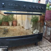 گاز