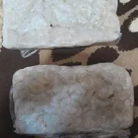 میگو درشت