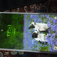 تبلت A7T225