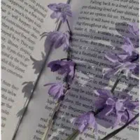 تدریس زبان انگلیسی