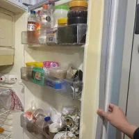 یخچال|یخچال و فریزر|بوشهر, |دیوار