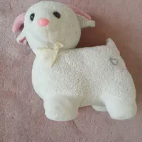 عروسک|اسباب‌‌بازی|امیدیه, |دیوار