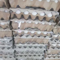 کارگر ساده جهت بسته بندی تخم مرغ