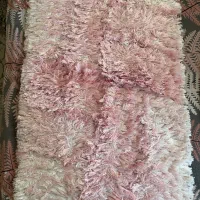 پادری