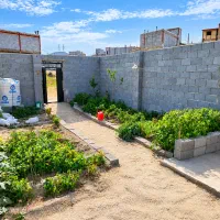 زمین حصار شده دوکله در باسمنج