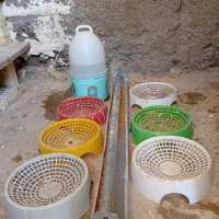 وسیله پرنده