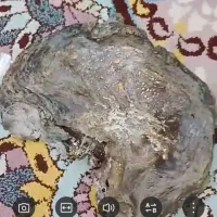 سنگ کهربا شناسنامه دار