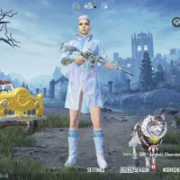 اکانت پابجی موبایل|کنسول، بازی ویدئویی و آنلاین|بم, |دیوار