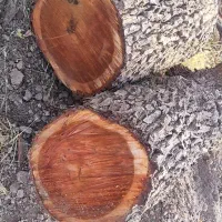 چوب صنایع دستی