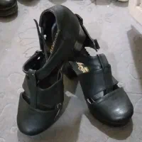 ۶  عدد  کفش  دو  عدد  کیف   نو  هستند|کیف، کفش، کمربند|تبریز, |دیوار