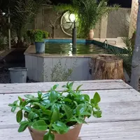 اجاره خانه ویلایی ۱۳۰ متری ۱ خوابه|اجارهٔ خانه و ویلا|اردکان, |دیوار