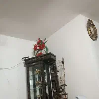 گنجه کاملا سالم