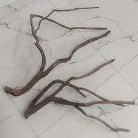 چوب اکواریوم