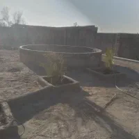 تعدادی کارگر جهت کار در شهر طبس