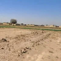 زمین-مزرعه-نوهر-200مترفقط-250میلیون