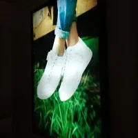 تابلو بک‌ لایت در حد نو کیفیت اصلی