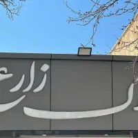 تک واحدی دوخواب خوش نقشه والفجر
