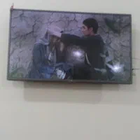 تلویزیون|تلویزیون و پروژکتور|بردسکن, |دیوار