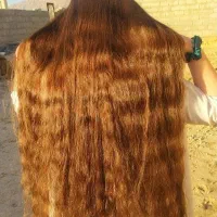 خرید ار مو مو اصلی صادرکننده