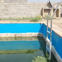 باغ-پر-درخت-میوه-در-ارامگاه