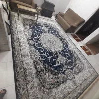 فرش 1200شانه|فرش|قم, محمد آباد|دیوار