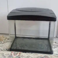 آکواریوم شرکتی