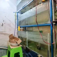 آکواریوم با پایه