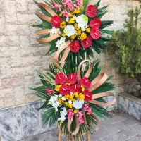 پایه گل تبریک/ افتتاحیه/ تاج گل افتتاحیه هدیه|گل و گیاه طبیعی|مشهد, فرهنگیان (شهرک غرب)|دیوار