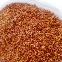 ناردونه،رب انار و آبغوره