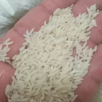 برنج طارم دم سیاه