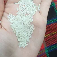 برنج هاشمی  نیم دانه درشت